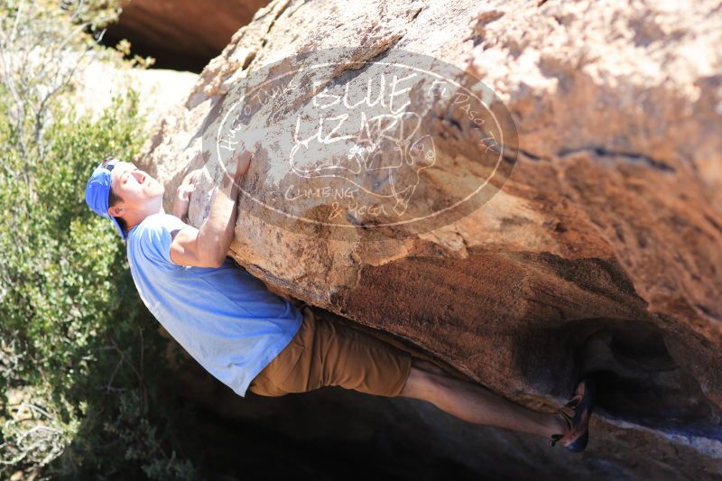 

Filename: SRM_20170325_1303131.jpg
Aperture: f/2.8
Shutter Speed: 1/2500
Body: Canon EOS-1D Mark II
Lens: Canon EF 85mm f/1.2 L II