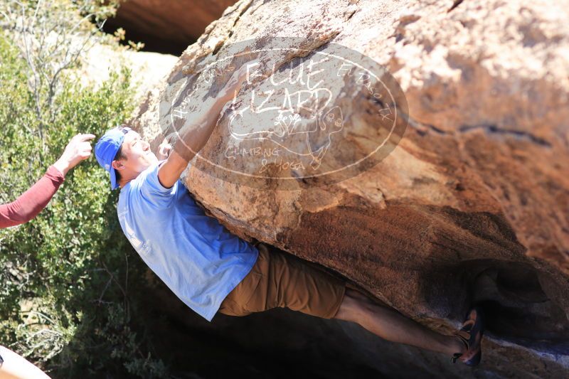 

Filename: SRM_20170325_1303140.jpg
Aperture: f/2.8
Shutter Speed: 1/2000
Body: Canon EOS-1D Mark II
Lens: Canon EF 85mm f/1.2 L II