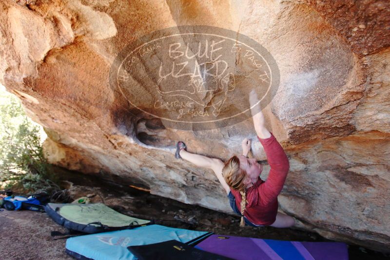 

Filename: SRM_20170325_1323151.jpg
Aperture: f/4.0
Shutter Speed: 1/200
Body: Canon EOS-1D Mark II
Lens: Canon EF 16-35mm f/2.8 L