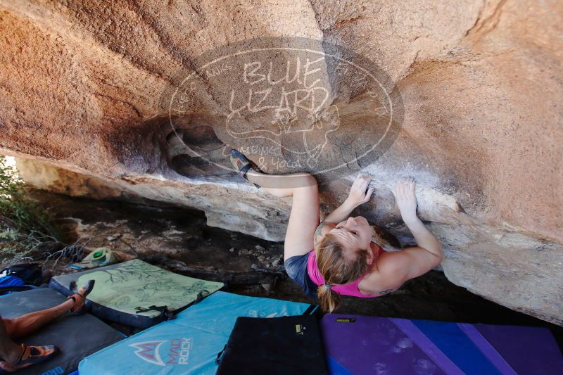 

Filename: SRM_20170325_1336170.jpg
Aperture: f/4.0
Shutter Speed: 1/160
Body: Canon EOS-1D Mark II
Lens: Canon EF 16-35mm f/2.8 L