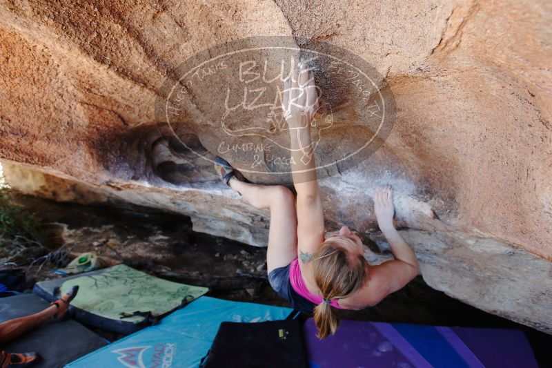 

Filename: SRM_20170325_1336180.jpg
Aperture: f/4.0
Shutter Speed: 1/160
Body: Canon EOS-1D Mark II
Lens: Canon EF 16-35mm f/2.8 L