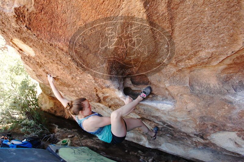 

Filename: SRM_20170325_1345411.jpg
Aperture: f/4.0
Shutter Speed: 1/250
Body: Canon EOS-1D Mark II
Lens: Canon EF 16-35mm f/2.8 L