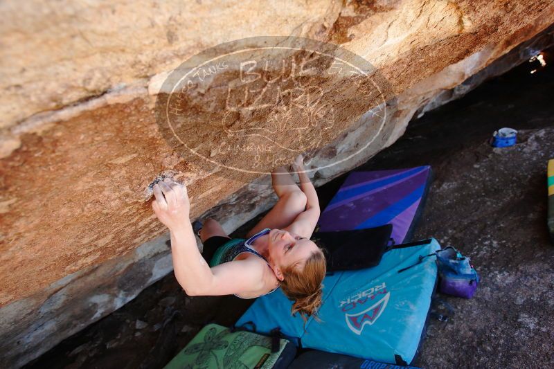 

Filename: SRM_20170325_1348372.jpg
Aperture: f/4.0
Shutter Speed: 1/320
Body: Canon EOS-1D Mark II
Lens: Canon EF 16-35mm f/2.8 L