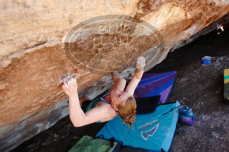 

Filename: SRM_20170325_1348380.jpg
Aperture: f/4.0
Shutter Speed: 1/320
Body: Canon EOS-1D Mark II
Lens: Canon EF 16-35mm f/2.8 L