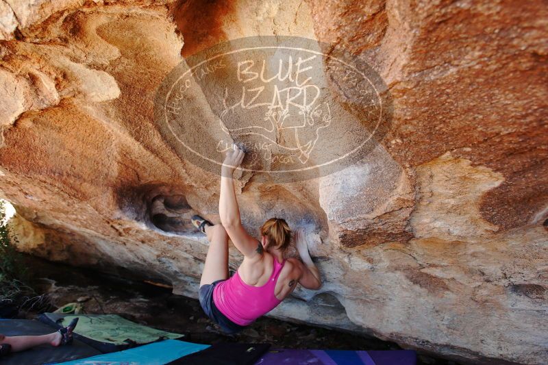 

Filename: SRM_20170325_1352280.jpg
Aperture: f/4.0
Shutter Speed: 1/320
Body: Canon EOS-1D Mark II
Lens: Canon EF 16-35mm f/2.8 L