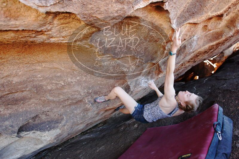 

Filename: SRM_20170325_1422000.jpg
Aperture: f/4.0
Shutter Speed: 1/160
Body: Canon EOS-1D Mark II
Lens: Canon EF 16-35mm f/2.8 L