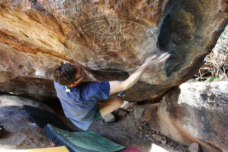 

Filename: SRM_20170325_1514040.jpg
Aperture: f/4.0
Shutter Speed: 1/250
Body: Canon EOS-1D Mark II
Lens: Canon EF 16-35mm f/2.8 L