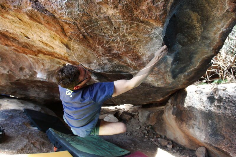 

Filename: SRM_20170325_1514041.jpg
Aperture: f/4.0
Shutter Speed: 1/250
Body: Canon EOS-1D Mark II
Lens: Canon EF 16-35mm f/2.8 L