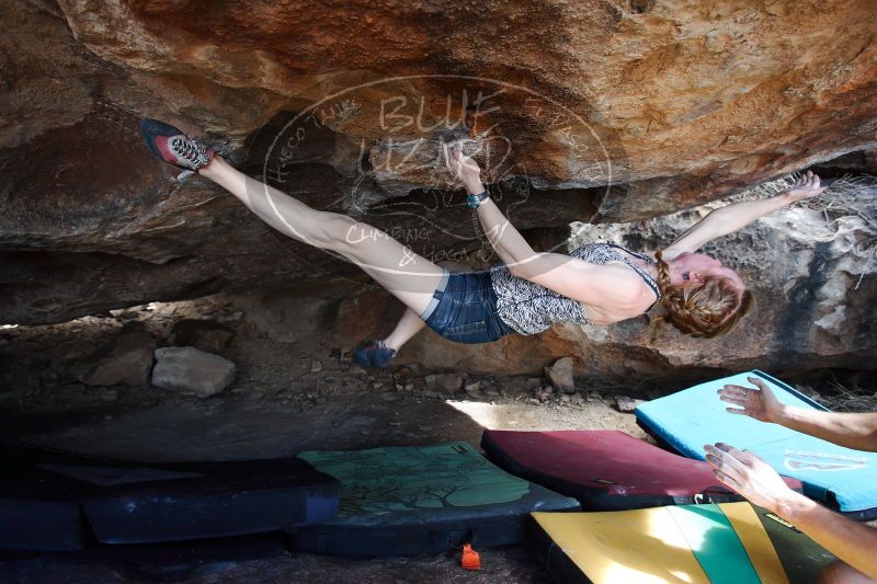 

Filename: SRM_20170325_1519430.jpg
Aperture: f/4.0
Shutter Speed: 1/400
Body: Canon EOS-1D Mark II
Lens: Canon EF 16-35mm f/2.8 L