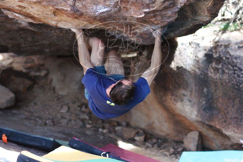 

Filename: SRM_20170325_1523321.jpg
Aperture: f/2.0
Shutter Speed: 1/1000
Body: Canon EOS-1D Mark II
Lens: Canon EF 85mm f/1.2 L II