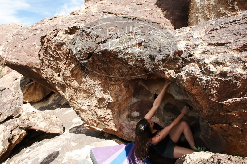 

Filename: SRM_20170325_1541190.jpg
Aperture: f/10.0
Shutter Speed: 1/200
Body: Canon EOS-1D Mark II
Lens: Canon EF 16-35mm f/2.8 L