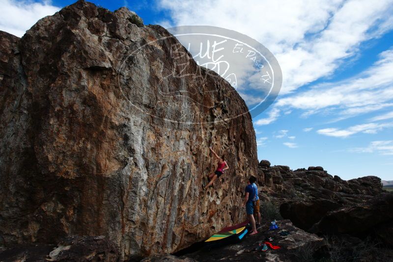 

Filename: SRM_20170325_1546550.jpg
Aperture: f/9.0
Shutter Speed: 1/200
Body: Canon EOS-1D Mark II
Lens: Canon EF 16-35mm f/2.8 L