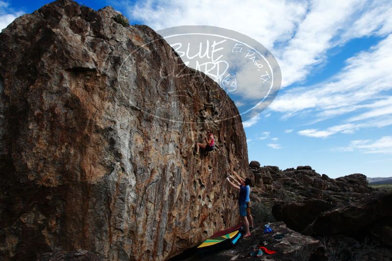 

Filename: SRM_20170325_1547220.jpg
Aperture: f/9.0
Shutter Speed: 1/200
Body: Canon EOS-1D Mark II
Lens: Canon EF 16-35mm f/2.8 L