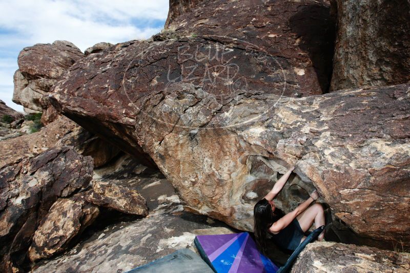 

Filename: SRM_20170325_1550020.jpg
Aperture: f/9.0
Shutter Speed: 1/250
Body: Canon EOS-1D Mark II
Lens: Canon EF 16-35mm f/2.8 L