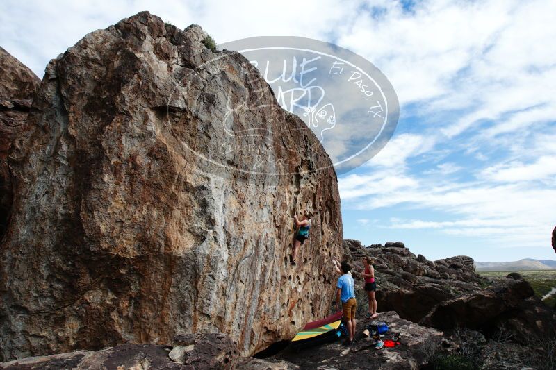 

Filename: SRM_20170325_1554590.jpg
Aperture: f/9.0
Shutter Speed: 1/250
Body: Canon EOS-1D Mark II
Lens: Canon EF 16-35mm f/2.8 L