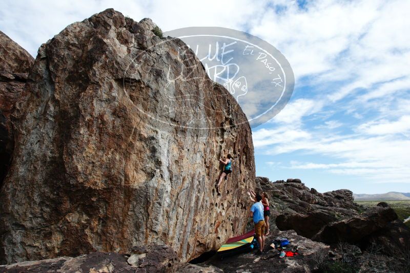 

Filename: SRM_20170325_1555020.jpg
Aperture: f/9.0
Shutter Speed: 1/250
Body: Canon EOS-1D Mark II
Lens: Canon EF 16-35mm f/2.8 L