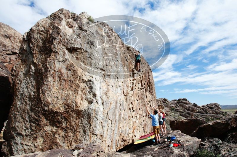 

Filename: SRM_20170325_1556050.jpg
Aperture: f/9.0
Shutter Speed: 1/250
Body: Canon EOS-1D Mark II
Lens: Canon EF 16-35mm f/2.8 L