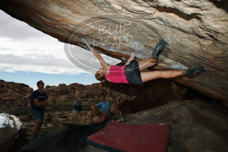 

Filename: SRM_20170325_1633570.jpg
Aperture: f/9.0
Shutter Speed: 1/250
Body: Canon EOS-1D Mark II
Lens: Canon EF 16-35mm f/2.8 L