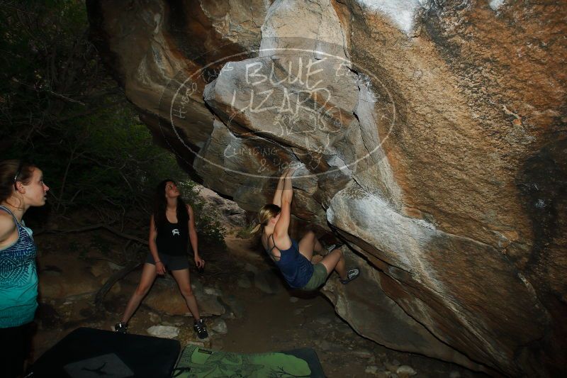 

Filename: SRM_20170325_1636490.jpg
Aperture: f/9.0
Shutter Speed: 1/250
Body: Canon EOS-1D Mark II
Lens: Canon EF 16-35mm f/2.8 L