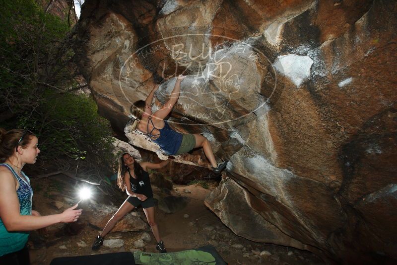 

Filename: SRM_20170325_1641470.jpg
Aperture: f/8.0
Shutter Speed: 1/250
Body: Canon EOS-1D Mark II
Lens: Canon EF 16-35mm f/2.8 L