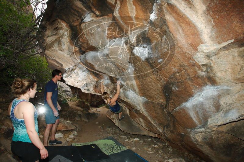 

Filename: SRM_20170325_1651090.jpg
Aperture: f/9.0
Shutter Speed: 1/250
Body: Canon EOS-1D Mark II
Lens: Canon EF 16-35mm f/2.8 L