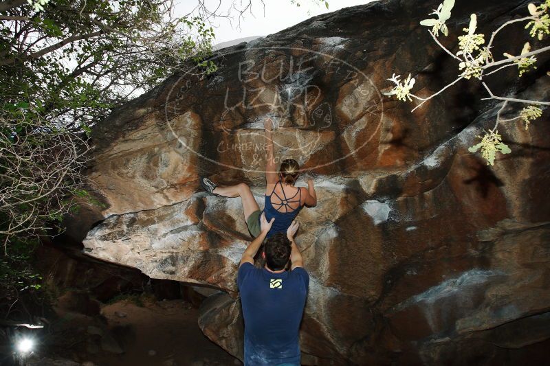 

Filename: SRM_20170325_1706020.jpg
Aperture: f/9.0
Shutter Speed: 1/250
Body: Canon EOS-1D Mark II
Lens: Canon EF 16-35mm f/2.8 L
