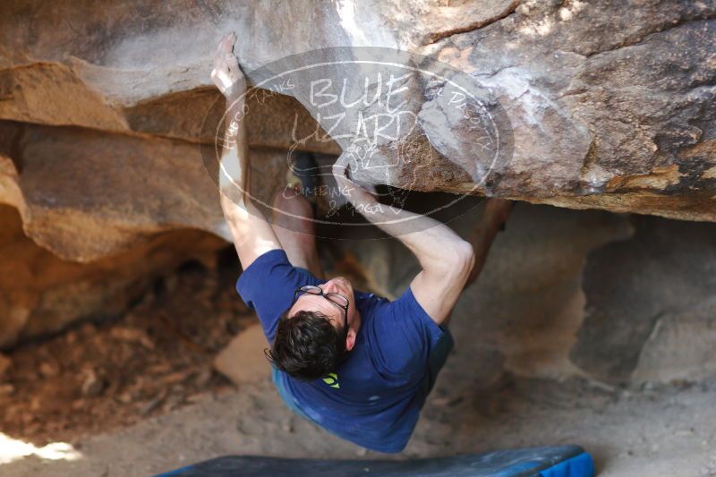 

Filename: SRM_20170325_1724294.jpg
Aperture: f/2.0
Shutter Speed: 1/250
Body: Canon EOS-1D Mark II
Lens: Canon EF 85mm f/1.2 L II