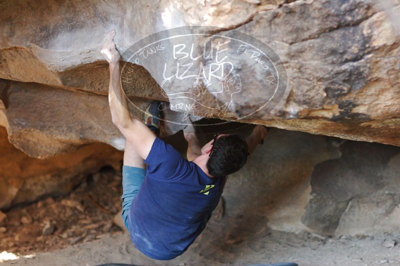 

Filename: SRM_20170325_1725550.jpg
Aperture: f/2.0
Shutter Speed: 1/160
Body: Canon EOS-1D Mark II
Lens: Canon EF 85mm f/1.2 L II