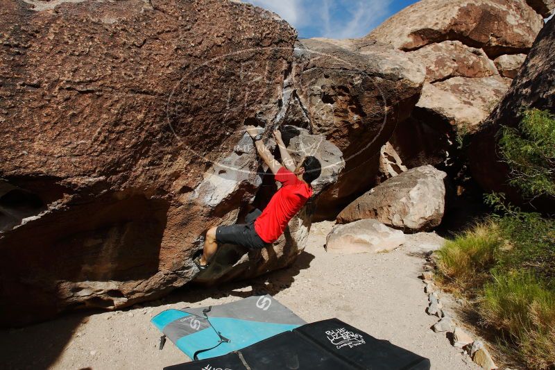 

Filename: SRM_20170525_0903430.jpg
Aperture: f/8.0
Shutter Speed: 1/500
Body: Canon EOS-1D Mark II
Lens: Canon EF 16-35mm f/2.8 L