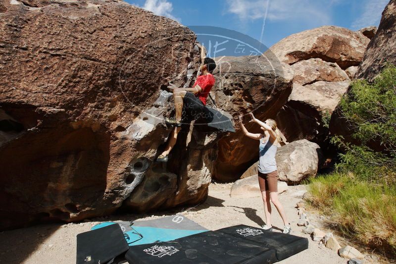 

Filename: SRM_20170525_0917010.jpg
Aperture: f/7.1
Shutter Speed: 1/320
Body: Canon EOS-1D Mark II
Lens: Canon EF 16-35mm f/2.8 L