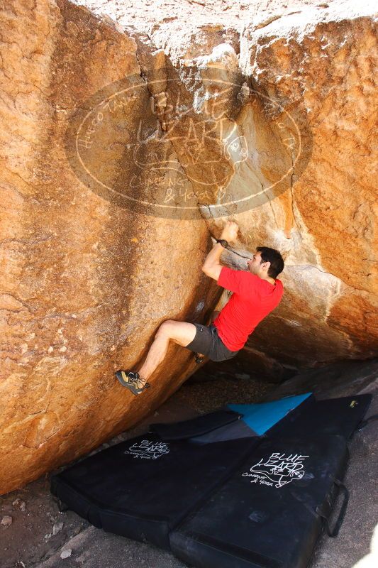 

Filename: SRM_20170525_0941593.jpg
Aperture: f/5.6
Shutter Speed: 1/250
Body: Canon EOS-1D Mark II
Lens: Canon EF 16-35mm f/2.8 L