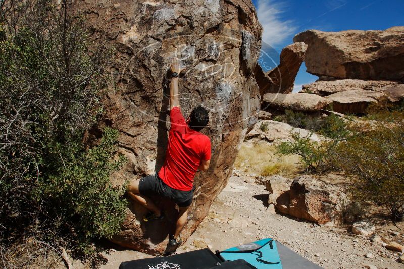 

Filename: SRM_20170525_0952120.jpg
Aperture: f/11.0
Shutter Speed: 1/250
Body: Canon EOS-1D Mark II
Lens: Canon EF 16-35mm f/2.8 L