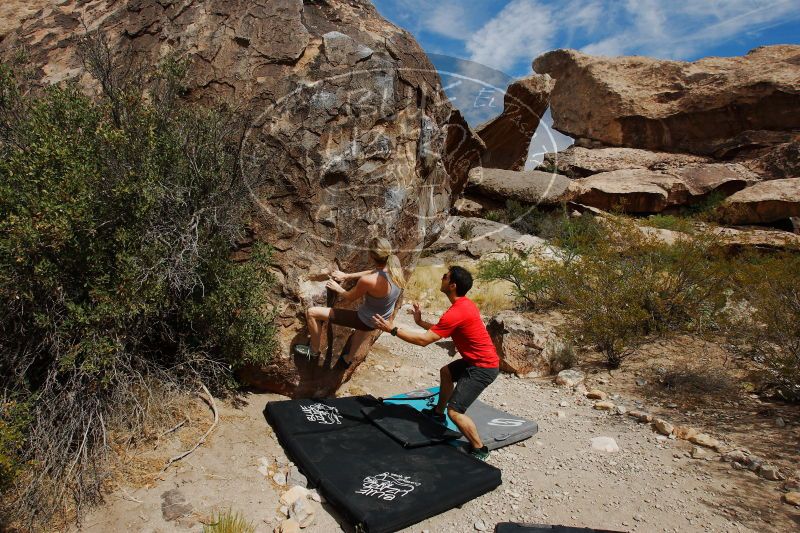 

Filename: SRM_20170525_0958341.jpg
Aperture: f/11.0
Shutter Speed: 1/250
Body: Canon EOS-1D Mark II
Lens: Canon EF 16-35mm f/2.8 L