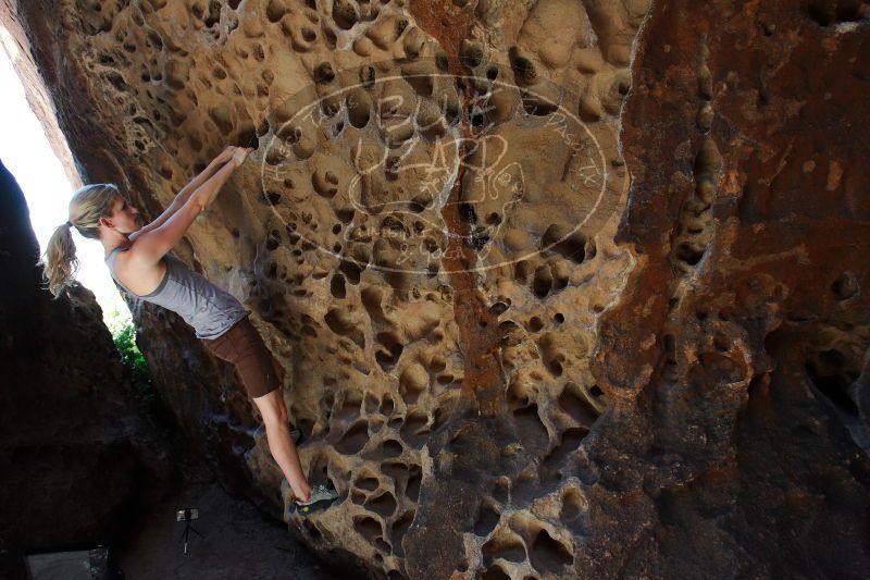 

Filename: SRM_20170525_1115261.jpg
Aperture: f/6.3
Shutter Speed: 1/160
Body: Canon EOS-1D Mark II
Lens: Canon EF 16-35mm f/2.8 L