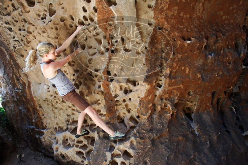 

Filename: SRM_20170525_1115320.jpg
Aperture: f/4.5
Shutter Speed: 1/160
Body: Canon EOS-1D Mark II
Lens: Canon EF 16-35mm f/2.8 L