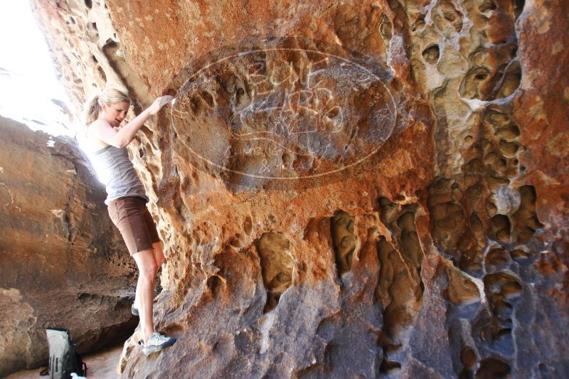 

Filename: SRM_20170525_1115560.jpg
Aperture: f/2.8
Shutter Speed: 1/125
Body: Canon EOS-1D Mark II
Lens: Canon EF 16-35mm f/2.8 L