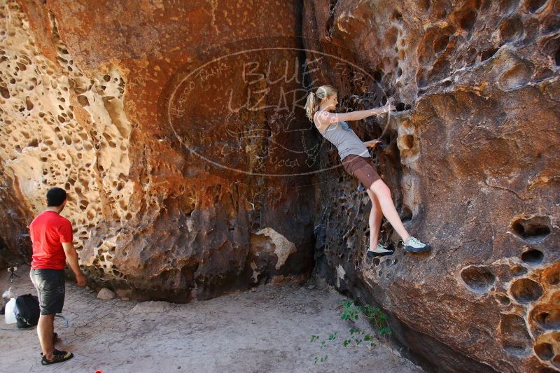 

Filename: SRM_20170525_1116540.jpg
Aperture: f/4.0
Shutter Speed: 1/125
Body: Canon EOS-1D Mark II
Lens: Canon EF 16-35mm f/2.8 L