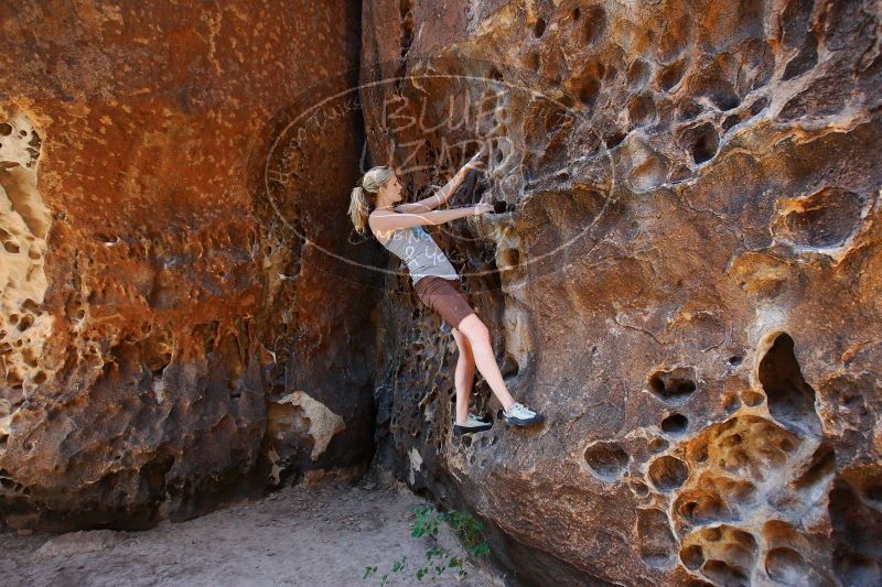 

Filename: SRM_20170525_1116560.jpg
Aperture: f/4.0
Shutter Speed: 1/125
Body: Canon EOS-1D Mark II
Lens: Canon EF 16-35mm f/2.8 L