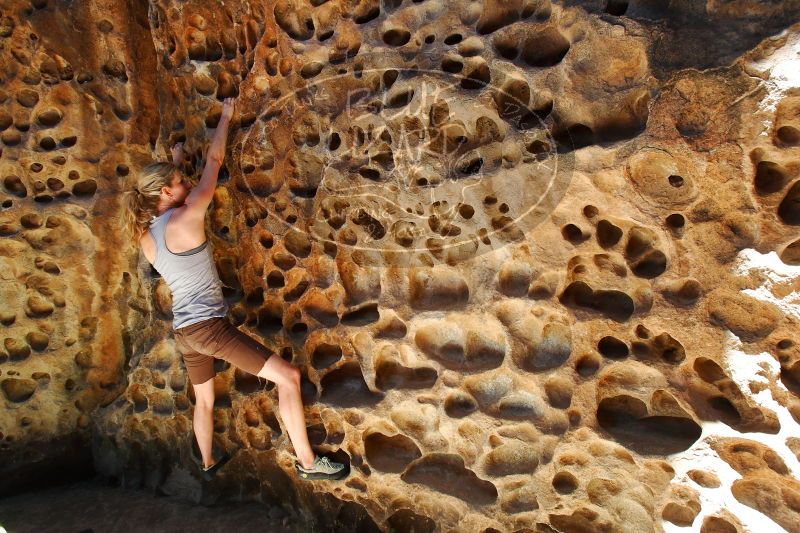 

Filename: SRM_20170525_1135010.jpg
Aperture: f/7.1
Shutter Speed: 1/200
Body: Canon EOS-1D Mark II
Lens: Canon EF 16-35mm f/2.8 L