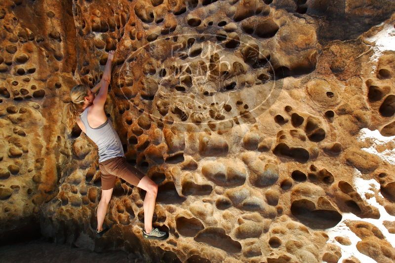 

Filename: SRM_20170525_1135011.jpg
Aperture: f/8.0
Shutter Speed: 1/200
Body: Canon EOS-1D Mark II
Lens: Canon EF 16-35mm f/2.8 L