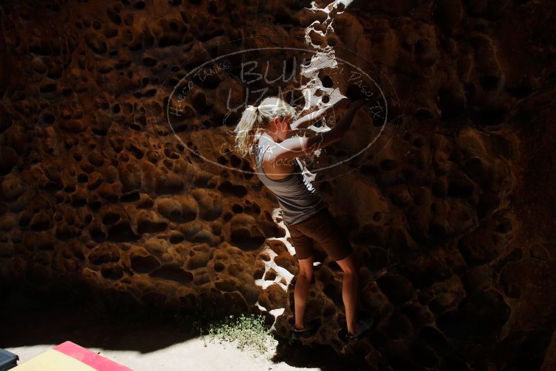 

Filename: SRM_20170525_1136000.jpg
Aperture: f/11.0
Shutter Speed: 1/200
Body: Canon EOS-1D Mark II
Lens: Canon EF 16-35mm f/2.8 L
