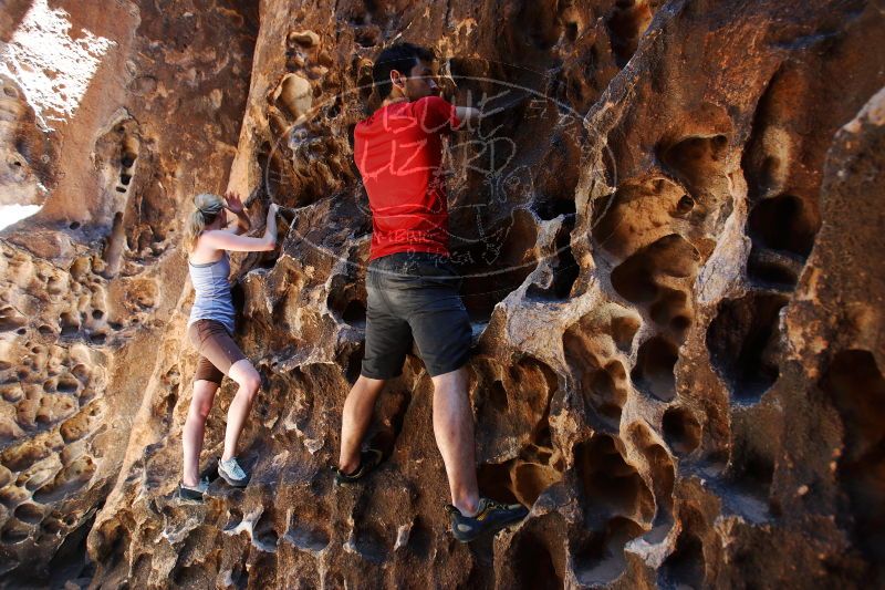 

Filename: SRM_20170525_1136501.jpg
Aperture: f/3.2
Shutter Speed: 1/200
Body: Canon EOS-1D Mark II
Lens: Canon EF 16-35mm f/2.8 L