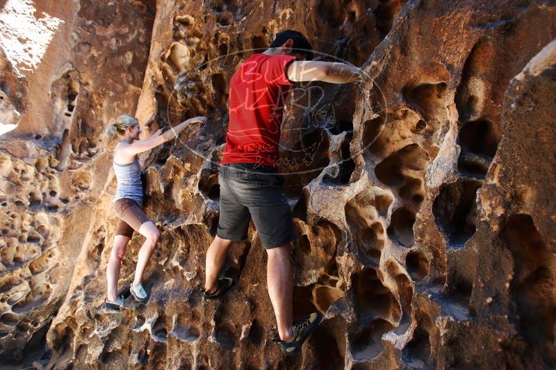 

Filename: SRM_20170525_1136550.jpg
Aperture: f/3.5
Shutter Speed: 1/160
Body: Canon EOS-1D Mark II
Lens: Canon EF 16-35mm f/2.8 L