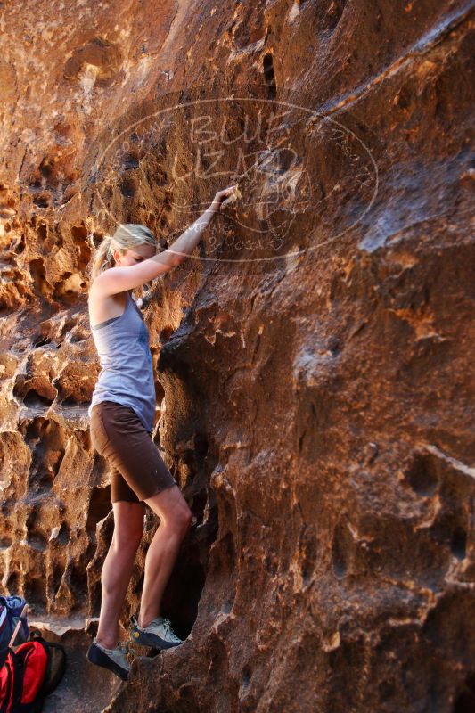 

Filename: SRM_20170525_1137490.jpg
Aperture: f/2.8
Shutter Speed: 1/160
Body: Canon EOS-1D Mark II
Lens: Canon EF 16-35mm f/2.8 L