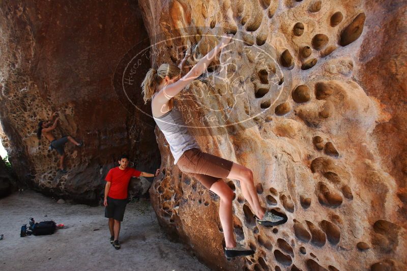 

Filename: SRM_20170525_1147440.jpg
Aperture: f/4.5
Shutter Speed: 1/160
Body: Canon EOS-1D Mark II
Lens: Canon EF 16-35mm f/2.8 L