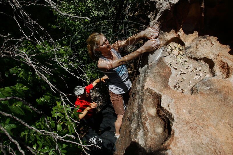 

Filename: SRM_20170525_1259401.jpg
Aperture: f/8.0
Shutter Speed: 1/250
Body: Canon EOS-1D Mark II
Lens: Canon EF 16-35mm f/2.8 L