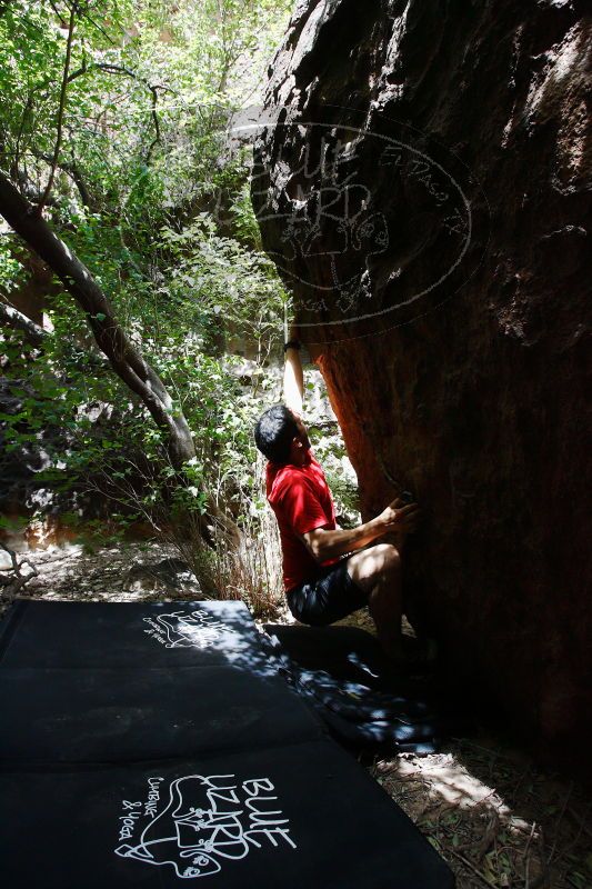 

Filename: SRM_20170525_1346160.jpg
Aperture: f/5.6
Shutter Speed: 1/320
Body: Canon EOS-1D Mark II
Lens: Canon EF 16-35mm f/2.8 L