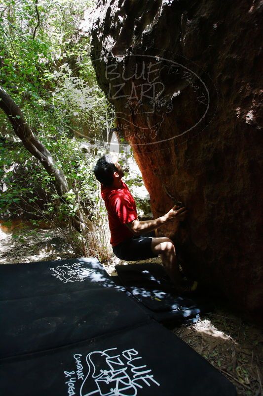 

Filename: SRM_20170525_1347360.jpg
Aperture: f/4.0
Shutter Speed: 1/320
Body: Canon EOS-1D Mark II
Lens: Canon EF 16-35mm f/2.8 L