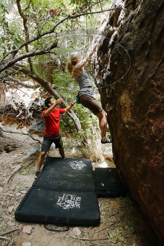 

Filename: SRM_20170525_1354180.jpg
Aperture: f/3.5
Shutter Speed: 1/320
Body: Canon EOS-1D Mark II
Lens: Canon EF 16-35mm f/2.8 L