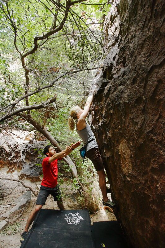 

Filename: SRM_20170525_1359380.jpg
Aperture: f/4.0
Shutter Speed: 1/160
Body: Canon EOS-1D Mark II
Lens: Canon EF 16-35mm f/2.8 L